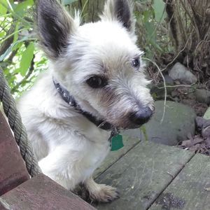 Meet your Posher, Kataleigh